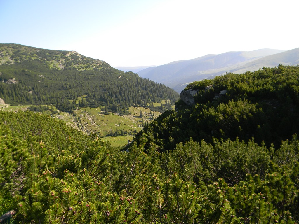 [DSCN22943.jpg]