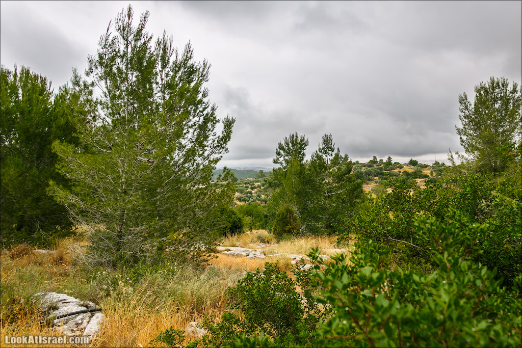 Неот Кдумим - Заповедник библейской природы | נאות קדומים
