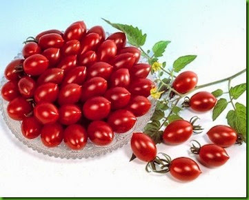 Tomate Sugary Cherry