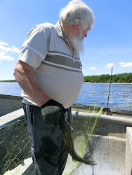 2013-06-17 Hecla Island - 054