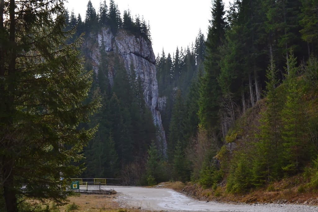 [DSC_00173.jpg]