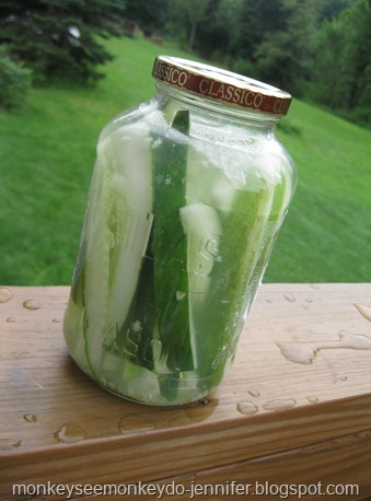 dill pickles (6)