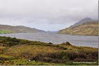 Connemara.-Ctra.-N59-Fiordo-Killary-[5]