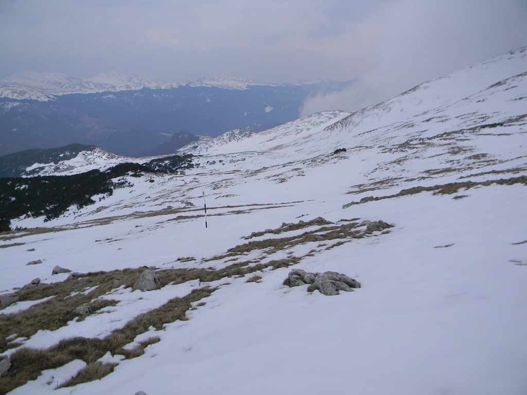 [DSCN39723.jpg]