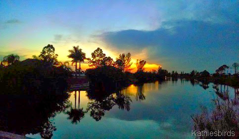 2-24-14 Florida sunset on a canal