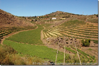 6467 Ruta del vino 6467 Ruta del vino