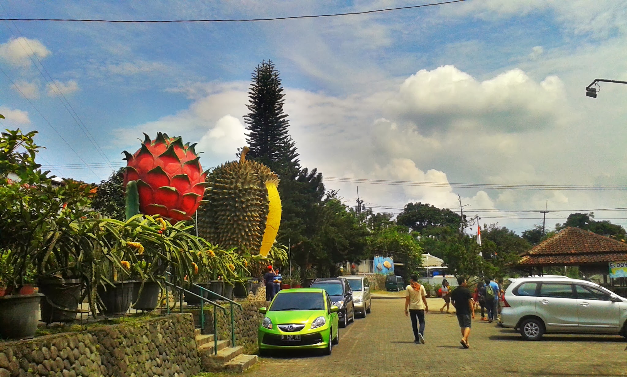 kebun durian warso