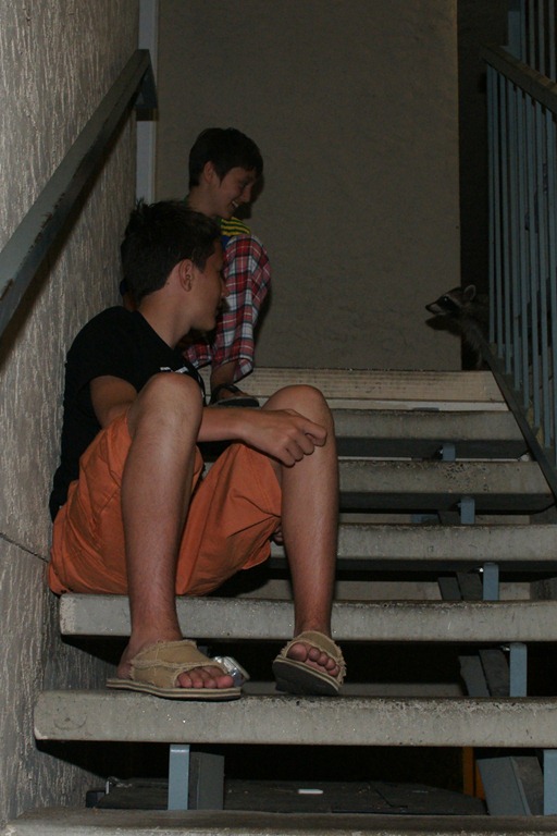[DSC021293.jpg]