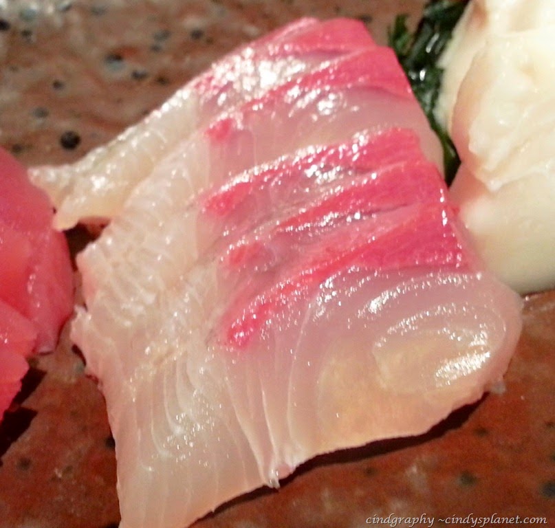 [Tatsu6%255B3%255D.jpg.webp]