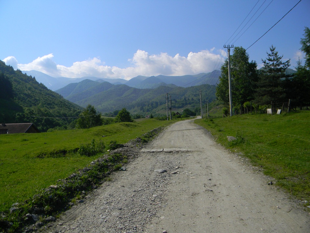 [DSCN11623.jpg]