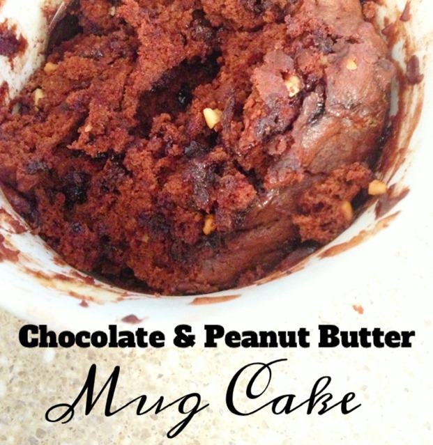 Chocolate & Peanut Butter Mug Cake