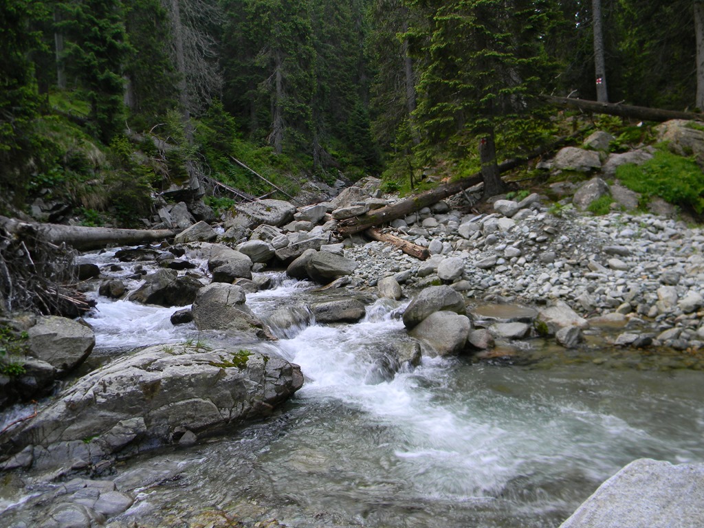 [DSCN22013.jpg]