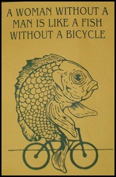 fish bicycle