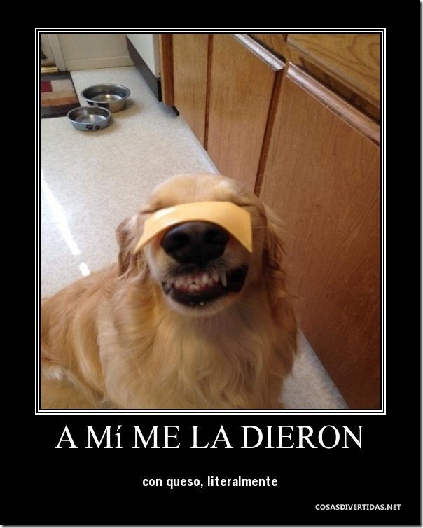 desmotivaciones animales 4 desmotivaciones animales 4