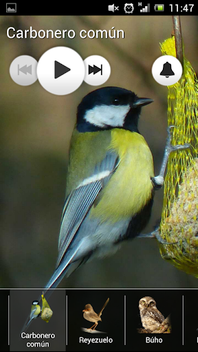 無料音乐Appの鳥が聞こえる - 着メロを|HotApp4Game