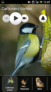How to install Bird Sounds - Ringtones 1.4 apk for laptop