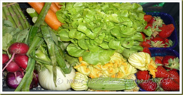 Casstta di verdura bio (1)