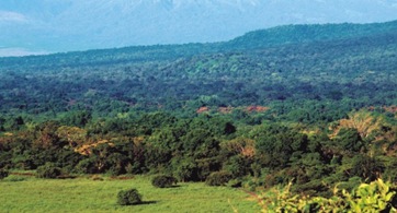 Contoh Ekosistem Abiotik Dan Biotik - Hontoh