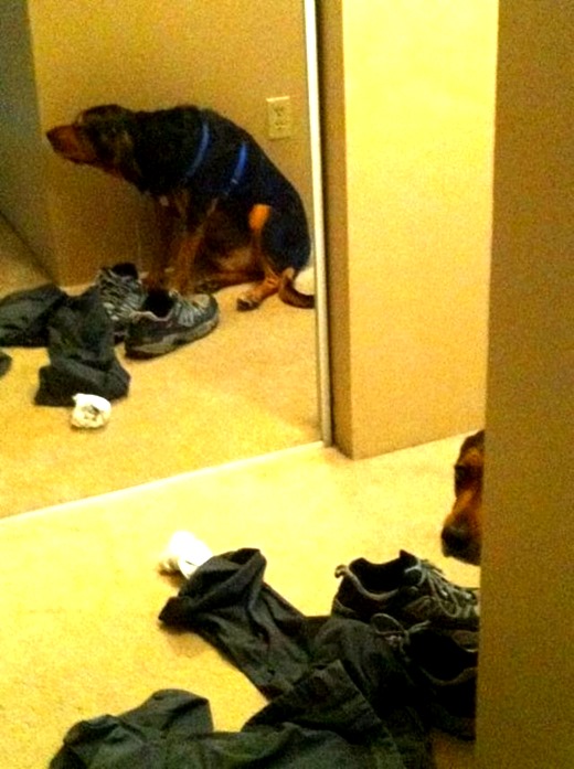 [clip_image011%255B12%255D.jpg]