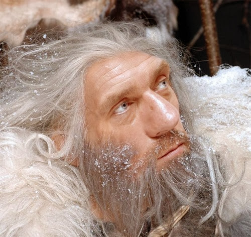 Neanderthal Hugh Laurie