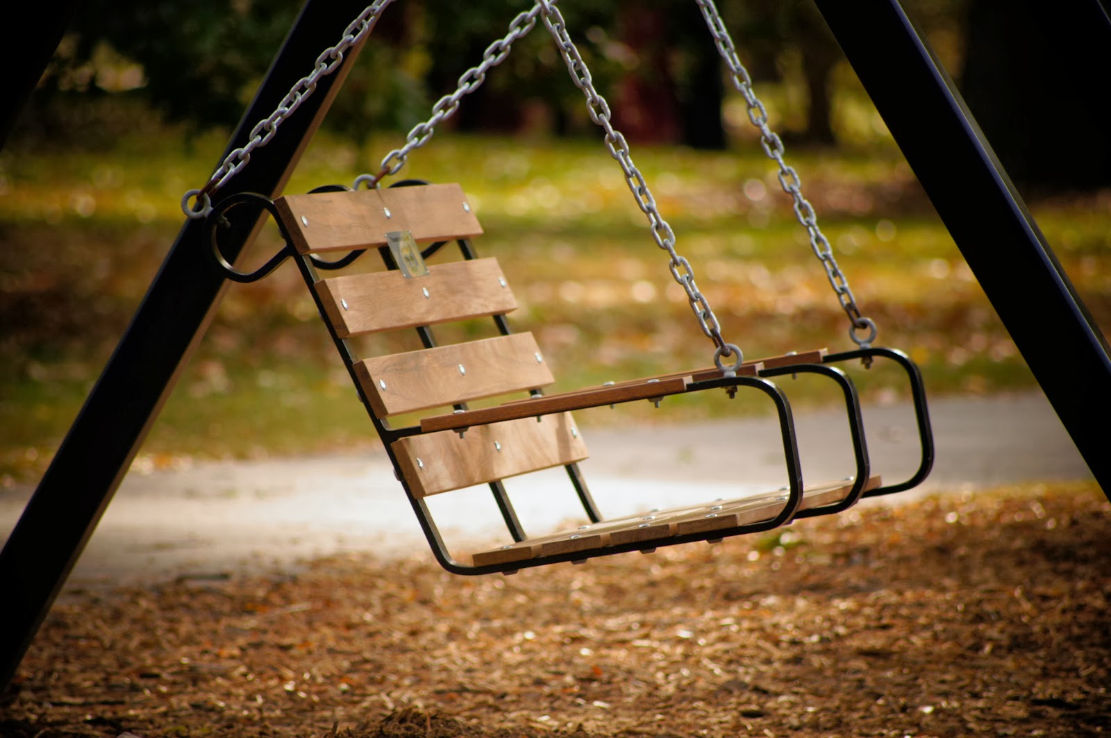 [park-swing-free-pictures-1%2520%25282699%2529%255B3%255D.jpg]