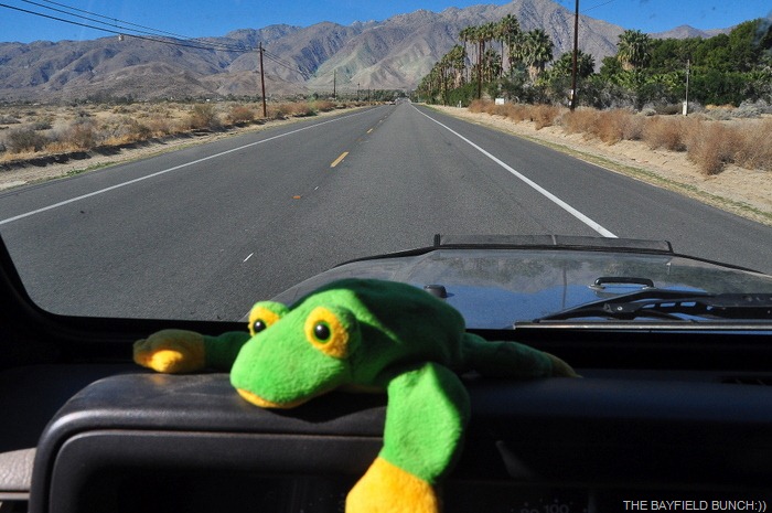 [DSC_0033%255B4%255D.jpg]