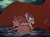 20 enfants de Bambi
