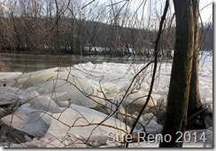 Susquehann River ice jam, by Sue Reno, Image 1
