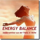 bild energy balance