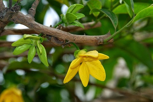 [clip_image005%255B3%255D.jpg]