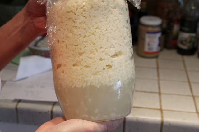 Homemade Fermented Rice Wine Menu In Progress