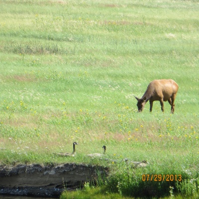 IMG_0633.jpg IMG 0633