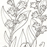 FLORES TREPADORAS