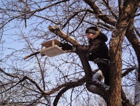 Экологические акции