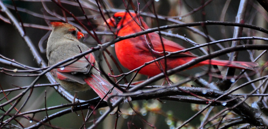 [DSC_0020%255B4%255D.jpg]