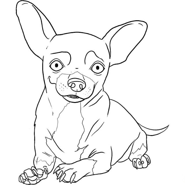 COLOREAR DIBUJOS DE CHIHUAHUAS