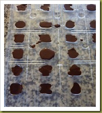 Cioccolatini fondenti con zucchero di canna picaflor (2)