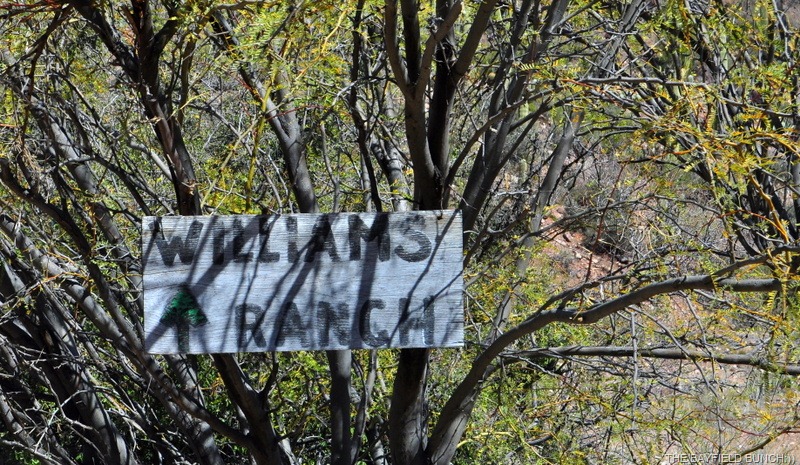 [DSC_0228%255B4%255D.jpg]