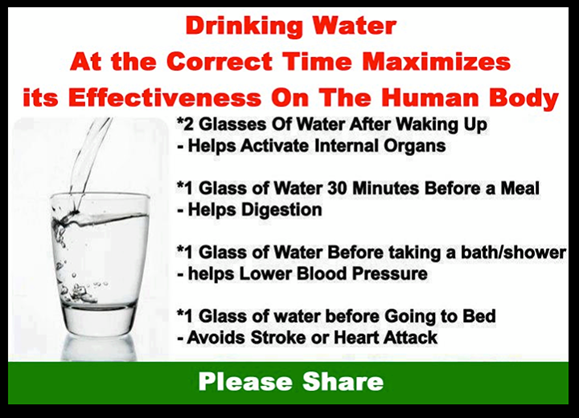 drinking water at the correct time
