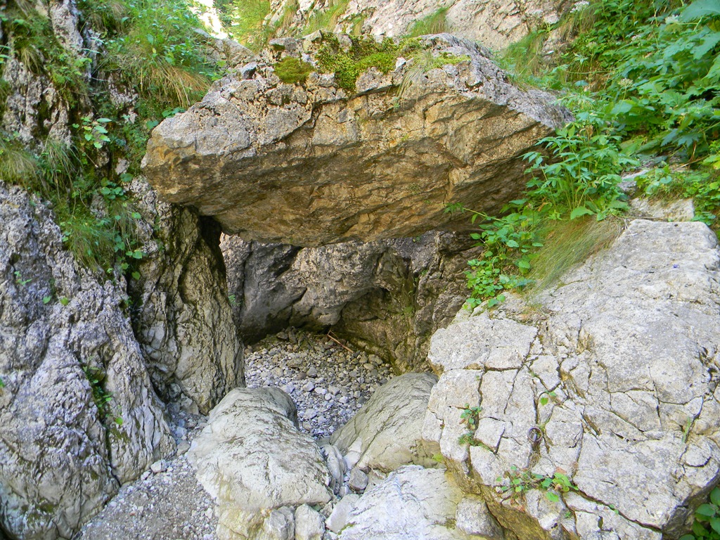 [DSCN14813.jpg]