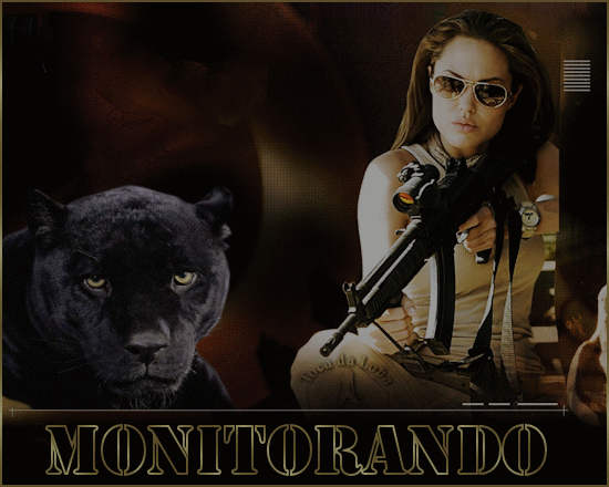 monitoramento66.GIF