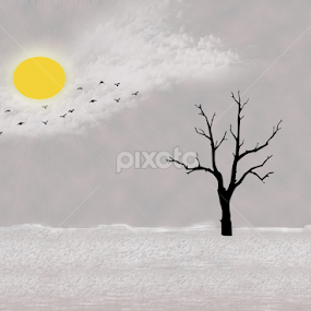 by Dipali S - Web & Apps Pages