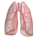 Asthma Tracker & Log (free) logo