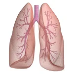 Asthma Tracker & Log (free) Apk