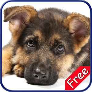 German Shepherd+ Free.apk 1.0