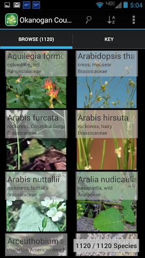 【免費生活App】3250 Great Plains Wildflowers-APP點子