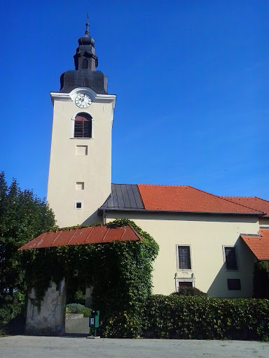Crkva Sv Vida