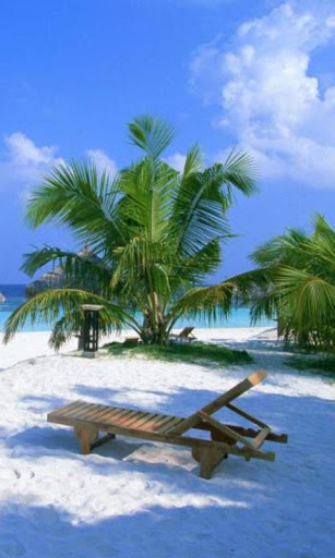 免費娛樂App|300 Amazing Beach Pictures HD|阿達玩APP