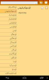 English Sorani Kurdish Dict poster 16