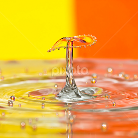 Fiesta by Chantal Bellefeuille - Digital Art Things